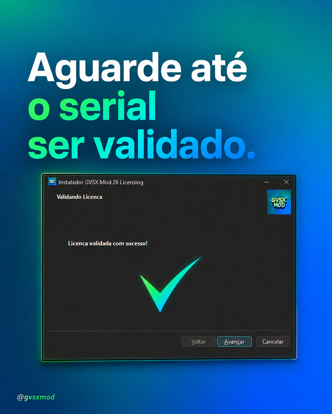 Passo 2 — Aguarde até o serial ser validado